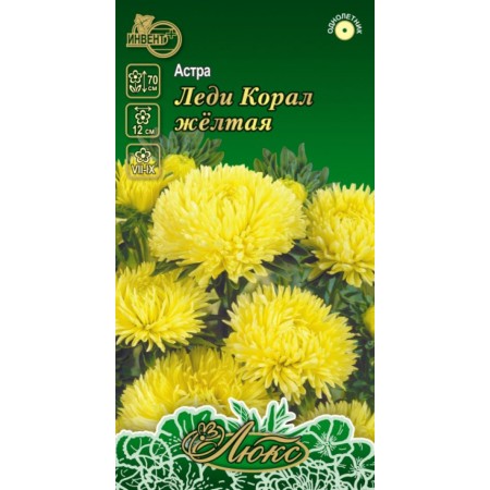 Астра Леди Корал Жёлтая
