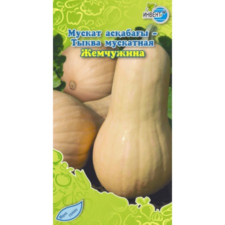 Тыква мускатная Жемчужина