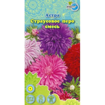 Астра Страусовое Перо смесь