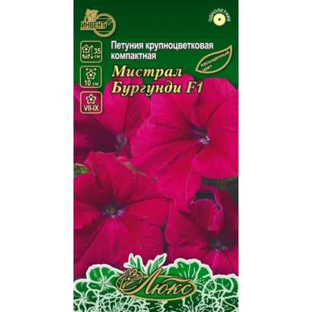 Петуния Мистрал Бургунди F1 (люкс)