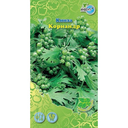 Кориандр