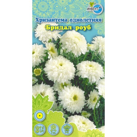 Хризантема Бридал Роуб