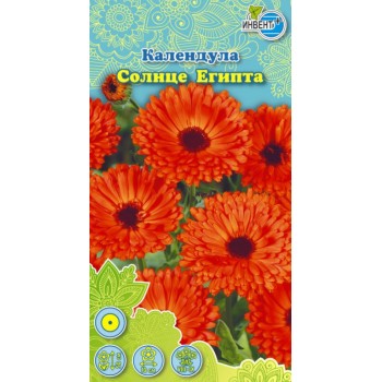 Календула Солнце Египта