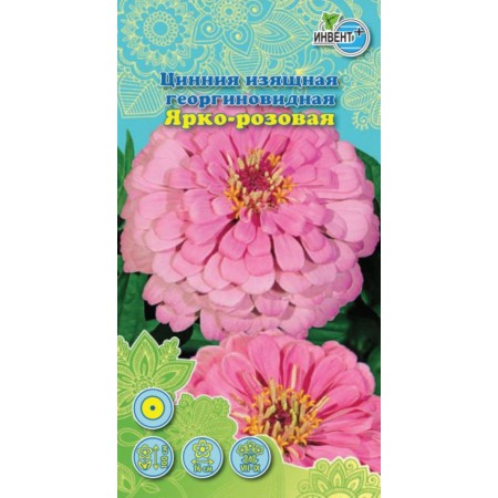 Цинния Ярко-розовая георгиновидная