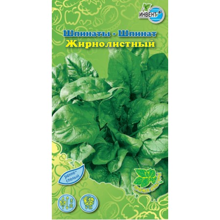 Шпинат Жирнолистный